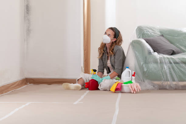 Reliable Mold Removal contractor in Louisville, IL by WQB Mold Removal